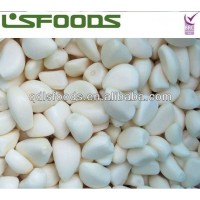 NEW CROP GARLIC CLOVES